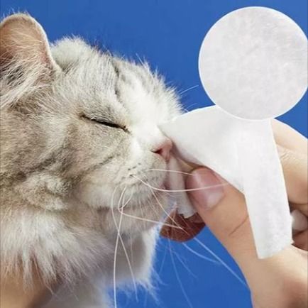 Pet utierte handričku ： Gadgets for Pet Hygiene Care